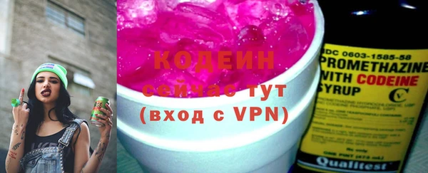 стаф Бородино