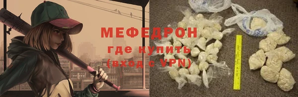 индика Бронницы