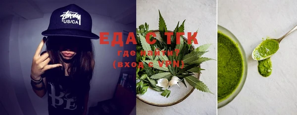индика Бронницы