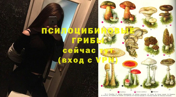 индика Бронницы
