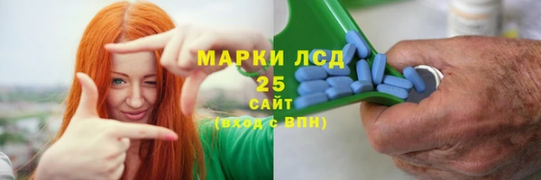 стаф Бородино