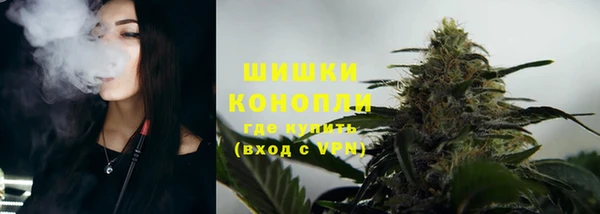 стаф Бородино