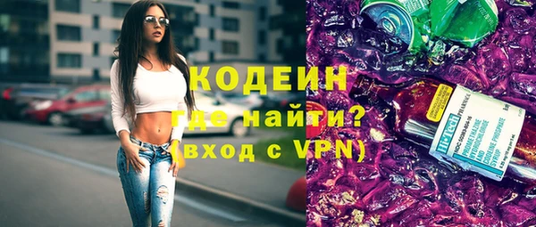 стаф Бородино