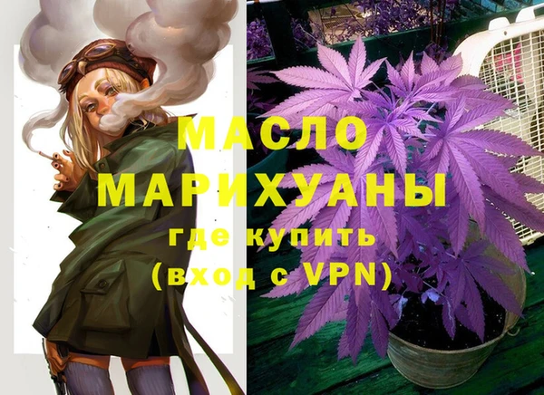 индика Бронницы