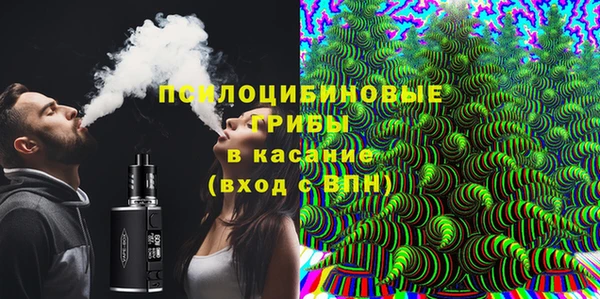 индика Бронницы