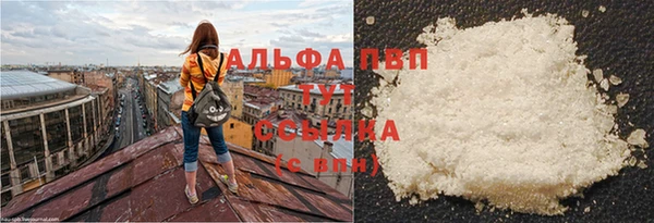 индика Бронницы