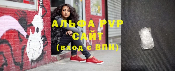 стаф Бородино