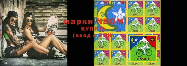 индика Бронницы