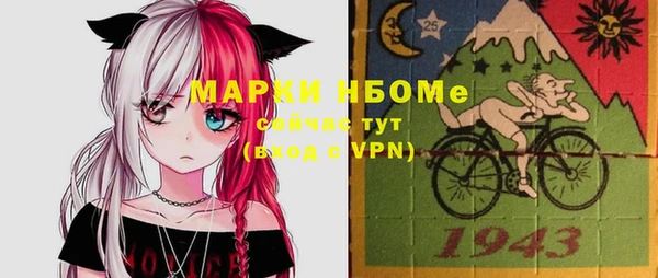 индика Бронницы