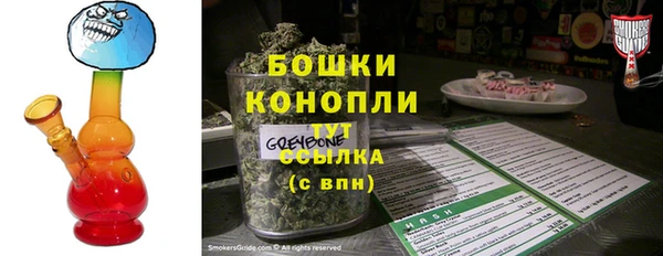 стаф Бородино